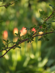 Similar image 147806