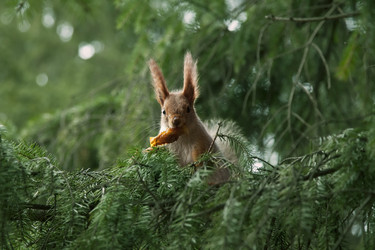 Similar image 147807