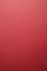 Similar image 147817