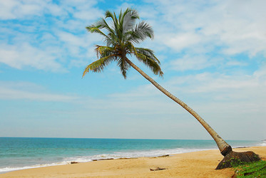 Similar image 147821