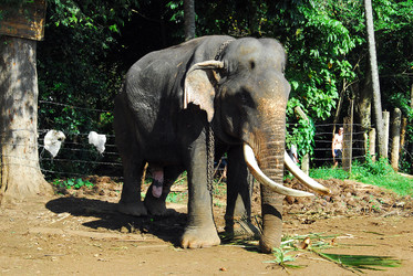 Similar image 147822