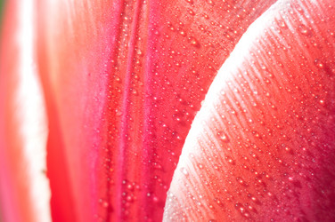 Similar image 147825