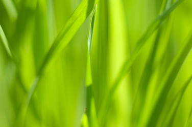 Similar image 147826