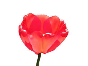 Similar image 147827