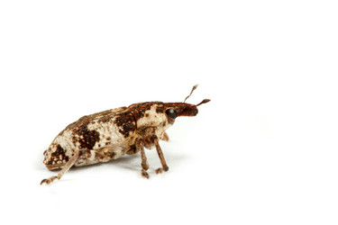 Similar image 147828