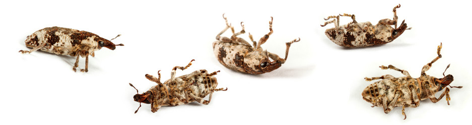 Similar image 147829