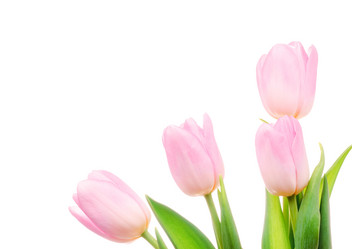 Similar image 147835