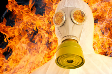 Similar image 147853