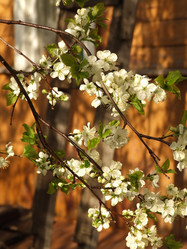 Similar image 147904