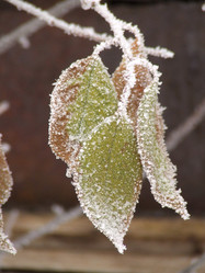 Similar image 147907