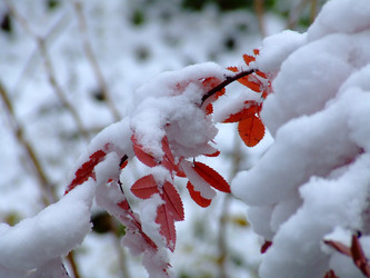 Similar image 147908