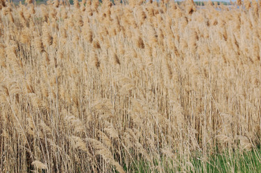 Similar image 147909