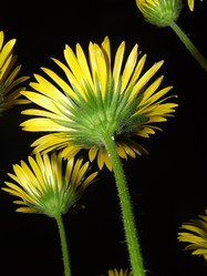 Similar image 147911