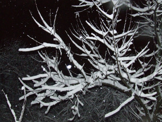 Similar image 147918