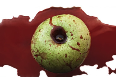 Similar image 147934