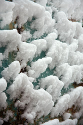 Similar image 147961