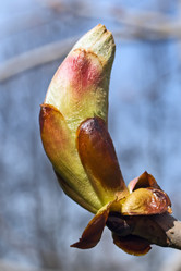 Similar image 147966