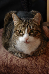 Similar image 147968