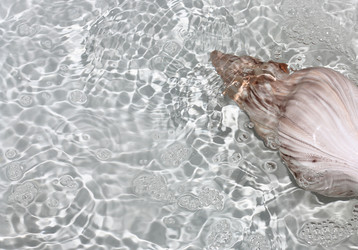 Similar image 147971