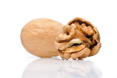 Similar image 147995