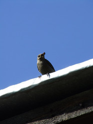 Similar image 148005