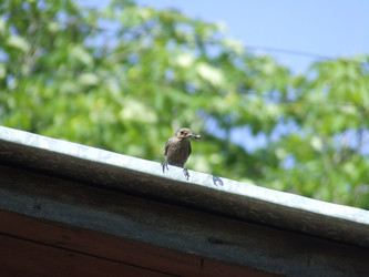 Similar image 148007