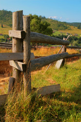 Similar image 148019