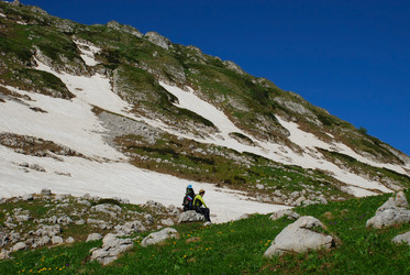 Similar image 148033