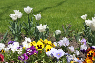 Similar image 148044