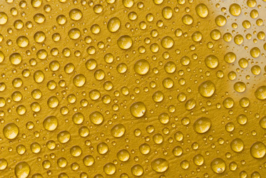 Similar image 148076