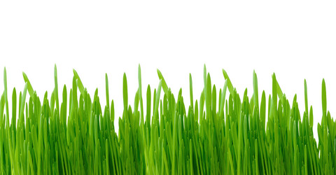 Similar image 148087