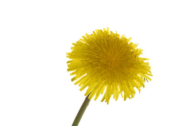 Similar image 148099