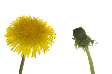 Similar image 148100