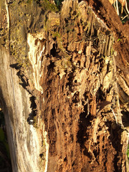 Similar image 148108