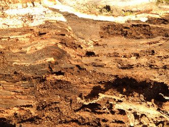 Similar image 148110