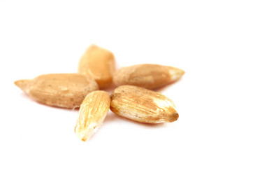 Similar image 148139