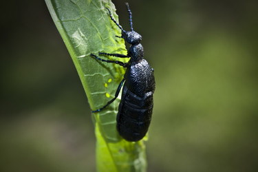 Similar image 148161