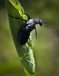 Similar image 148162