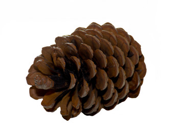 Similar image 148174