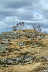 Similar image 148196