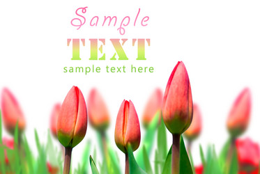 Similar image 148199