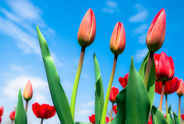 Similar image 148200