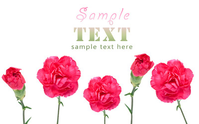 Similar image 148201