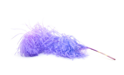 Similar image 148203