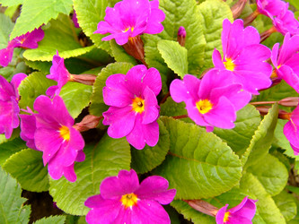 Similar image 148206