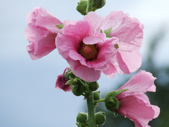 Similar image 148207