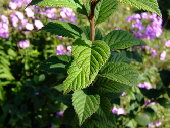 Similar image 148208