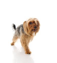 Similar image 148242