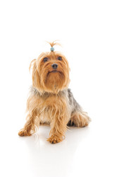 Similar image 148245