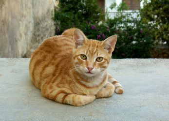 Similar image 148246